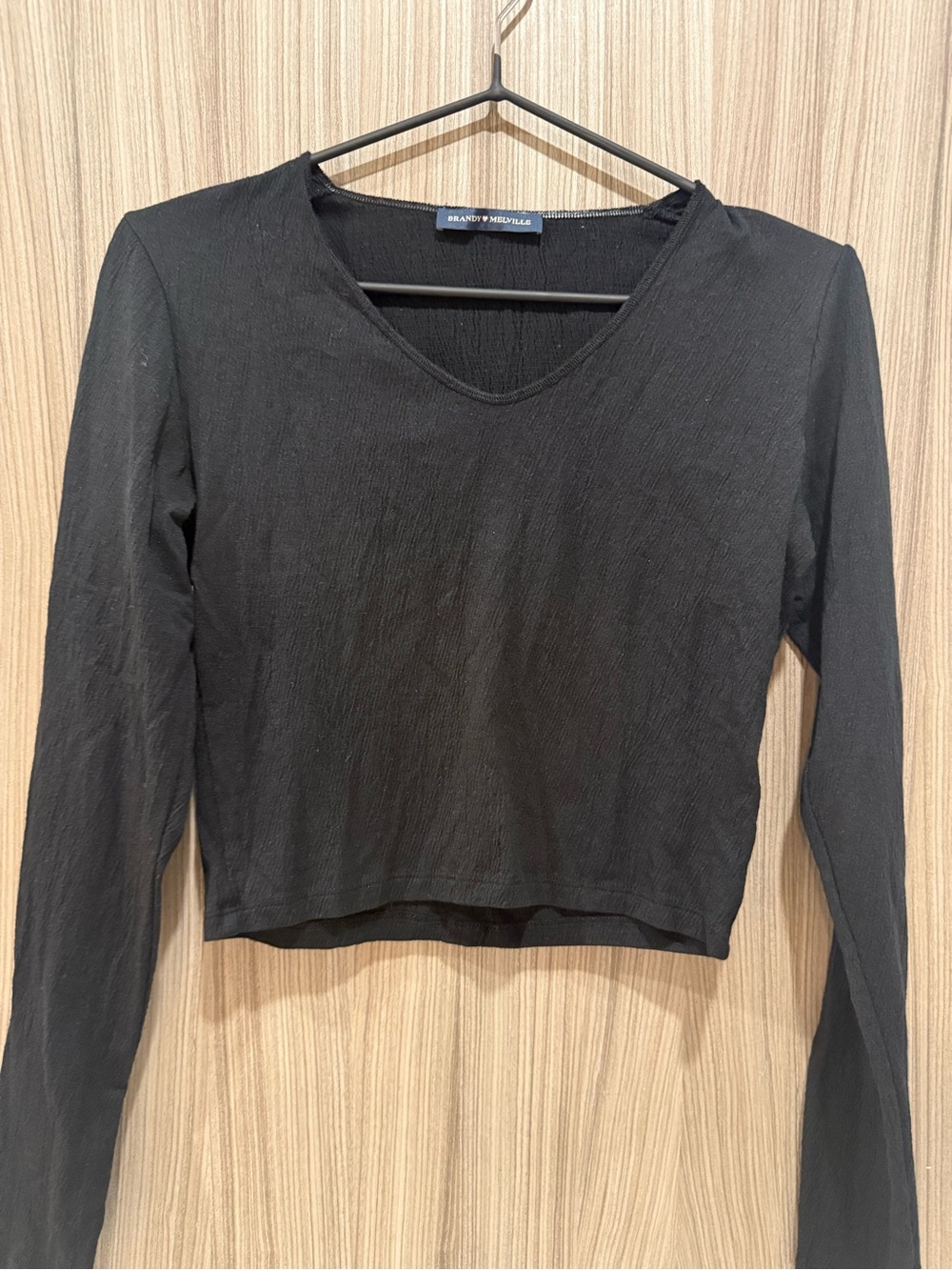 BRANDY MELVILLE Black Textured Long-Sleeve V-Neck Cropped Top - One Size